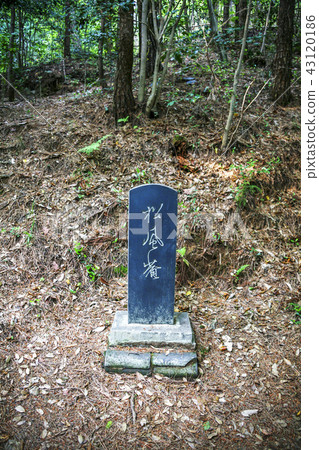 Jeollanam-do, Korea, Kangjin-gun, 43120186