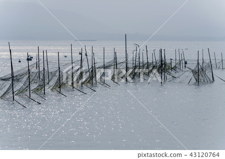 Jeollanamdo,韓國,Shinan,Jindo,Wojeon海灘 Jeollanamdo,韓國,Shinan,Jindo,Wojeon海灘 43120764