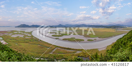 全羅南道,韓國,順天灣,生態公園 全羅南道,韓國,順天灣,生態公園 43120817