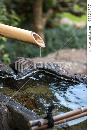 Japanese Tsubaiai 43121797