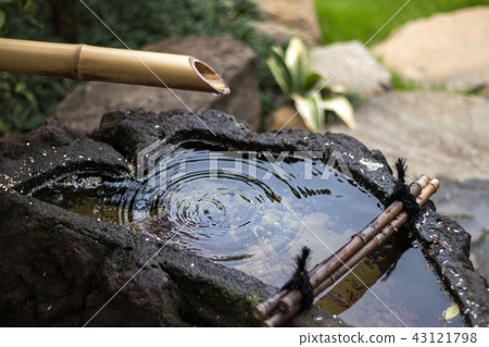 Japanese Tsubaiai 43121798