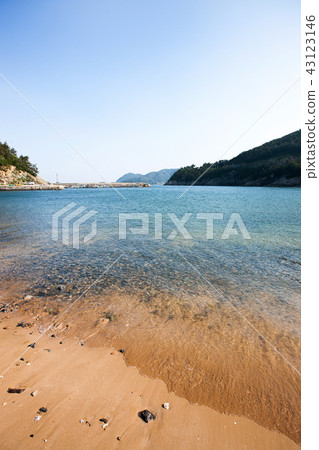 竹，血，蘑菇，麗水，全南 43123146