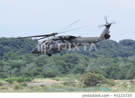 美國陸軍UH-60A黑鷹運輸直升機活躍在災害調度飛行低地森林 43123720