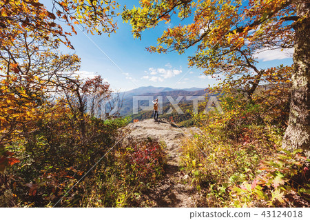 Man at the edge of a cliff 43124018