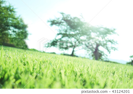 Natural landscape Natural landscape 43124201
