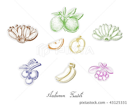 Set of Autumn Fruits with Paper Cut Art 43125331