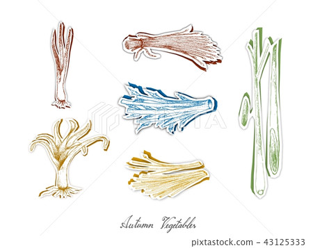 Set of Autumn Vegetables with Paper Cut Art Set of Autumn Vegetables with Paper Cut Art 43125333