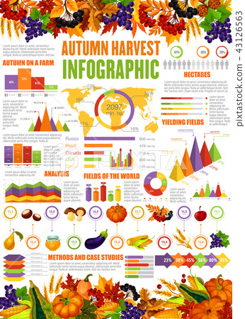 Autumn harvest season vector infographic 43126563
