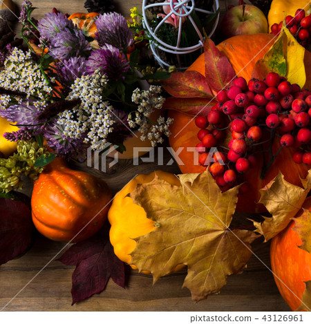 Fall pumpkin, rowan berry and autumn leaves Fall pumpkin, rowan berry and autumn leaves 43126961