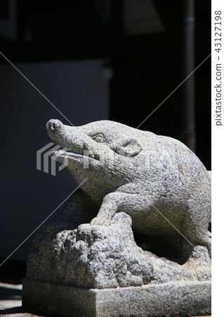 Moth 43127198
