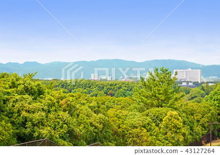 大阪北鬆的風景 大阪北鬆的風景 43127264