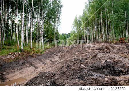 system of drainage ditch in the woods for water colleting 43127351