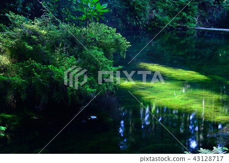 Ikeyama水源 43128717