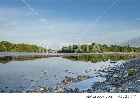 琵琶湖的沙洲 43129474