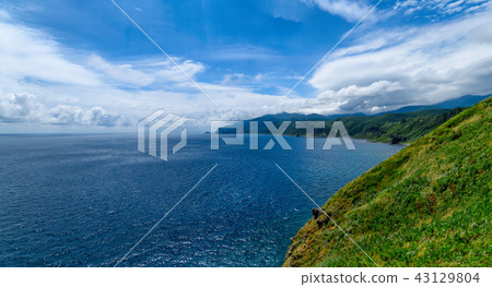 夏天的夏天/北海道積丹鎮的積丹藍色海角 43129804