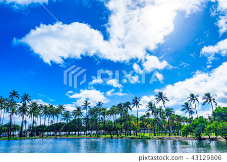 阿拉莫阿納海灘公園 阿拉莫阿納海灘公園 43129806