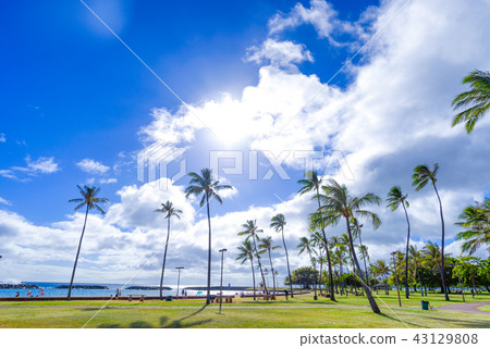 Ala Moana Beach Park Ala Moana Beach Park 43129808