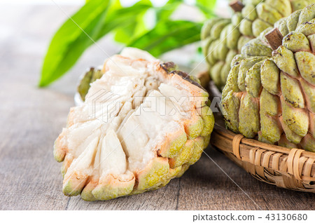 Suika Mizuka甜湯本瑞 43130680