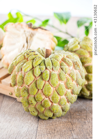 Suika Mizuka甜湯本瑞 43130682