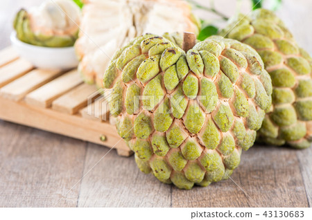 Suika Mizuka甜湯本瑞 Suika Mizuka甜湯本瑞 43130683