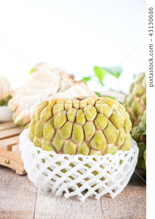 Suika Mizuka甜湯本瑞 43130686