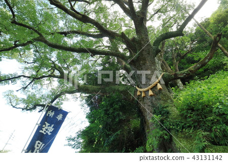 Ekishi Shrine Kamiki 43131142