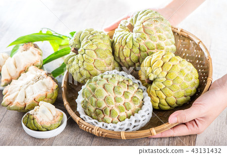 Buddha head (Shakato) Bunratsi popular fruit buddha fruits in Taiwan 43131432