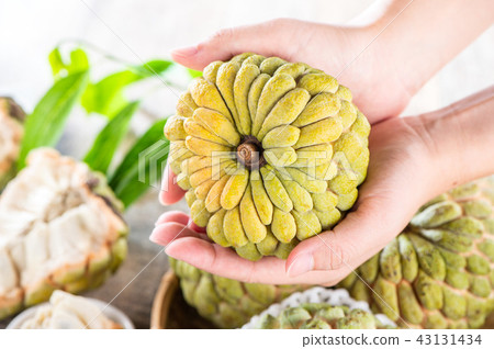 Buddha head (Shakato) Bunratsi popular fruit buddha fruits in Taiwan 43131434
