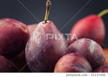 Plims on dark background, close up 43131446