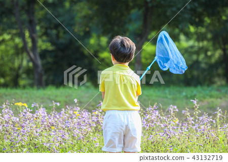 孩子，男孩，蜻蜓，自然，睡覺 43132719