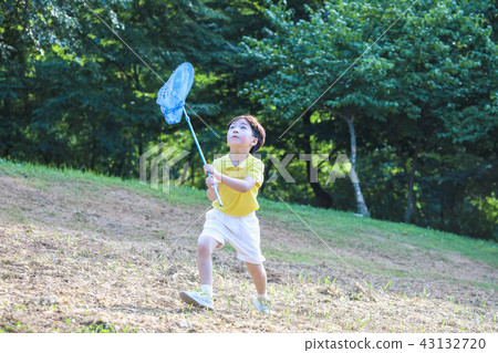 孩子,男孩,蜻蜓,自然,睡覺 孩子,男孩,蜻蜓,自然,睡覺 43132720