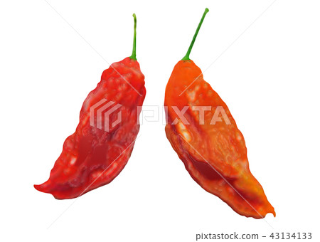 Spicy spice Joloquia Spicy spice Joloquia 43134133