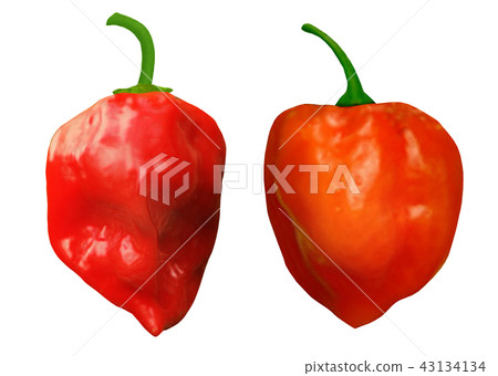 Spicy hot spice Habanero Spicy hot spice Habanero 43134134