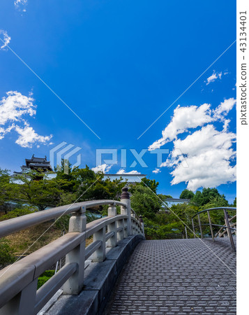 Fukuchiyama Castle　 43134401