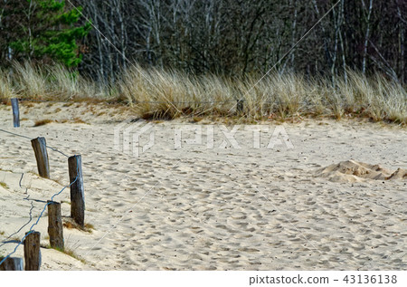 Sandy dunes in nature reserve Boberger Niederung 43136138