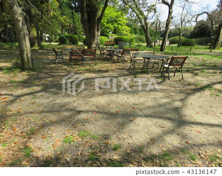 一個公園的風景有下落的葉子和長凳的 43136147