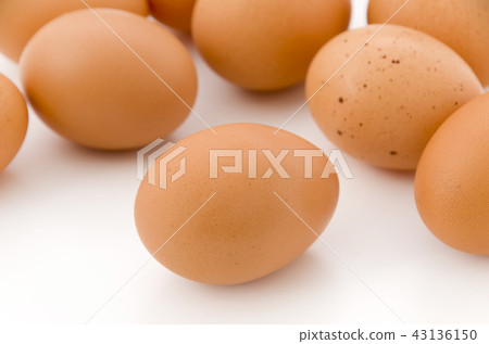 蛋（紅球） 43136150