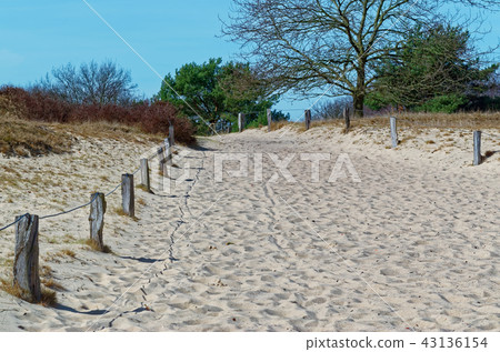 Sandy dunes in nature reserve Boberger Niederung Sandy dunes in nature reserve Boberger Niederung 43136154