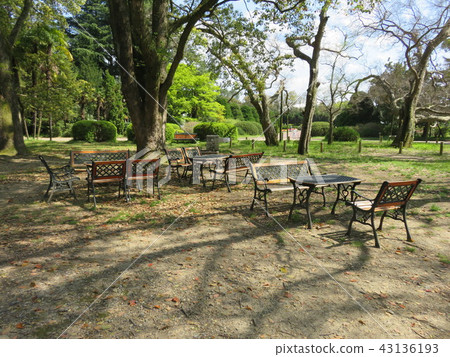 一個公園的風景有下落的葉子和長凳的 43136193