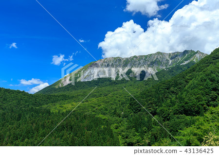 Oku Oyama的新鮮綠色 Oku Oyama的新鮮綠色 43136425