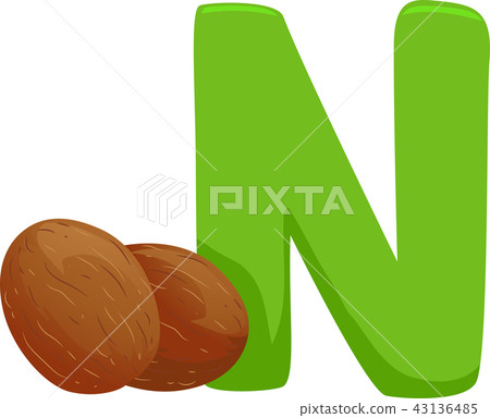 N for Nutmeg Illustration 43136485