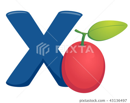 X for Ximenia Illustration X for Ximenia Illustration 43136497