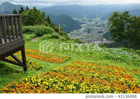Terrace of Alp's village Terrace of Alp's village 43136898
