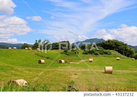 Pasture area of Hokkaido Pasture area of Hokkaido 43137232