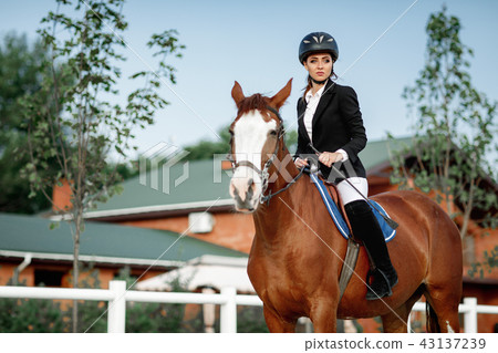 Rider elegant woman riding her horse outside 43137239