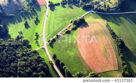 Roads leading through the forest, top view Roads leading through the forest, top view 43137381