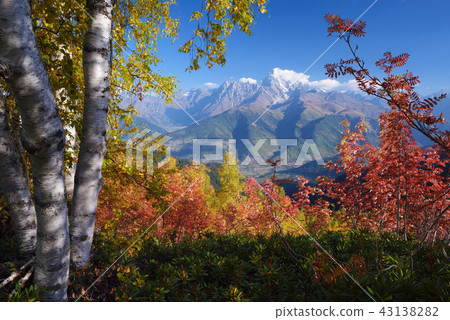 Autumn landscape in the mountains Autumn landscape in the mountains 43138282