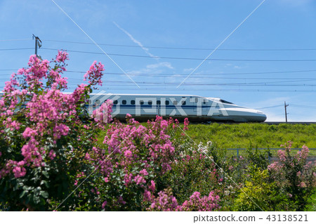 Summer Karasuberi and Tokaido Shinkansen Summer Karasuberi and Tokaido Shinkansen 43138521