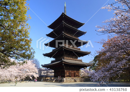 京都春天的Toji 43138768