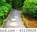 Japanese garden 43139028